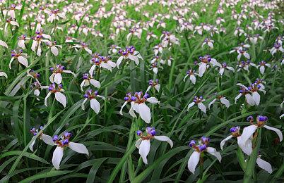 《黑神话：悟空》官博新动态 科隆游戏展公开工作进展